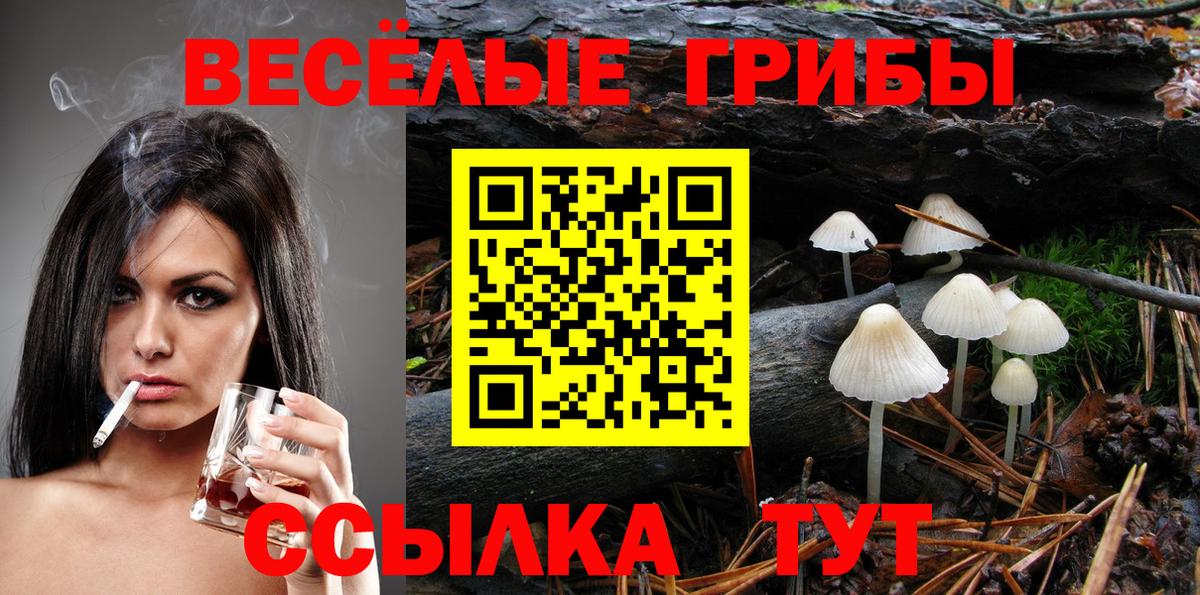 Грозный  Галлюциногенные грибы Psilocybine cubensis  Псилоцибиновые грибы прущие грибы  Вход с VPN 