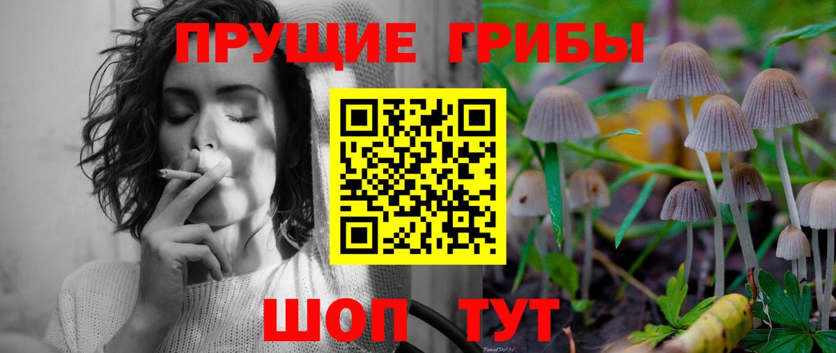 Галлюциногенные грибы Cubensis Грозный